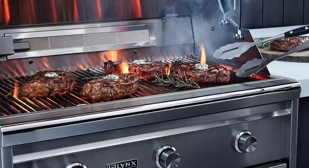 professional grill by lynx